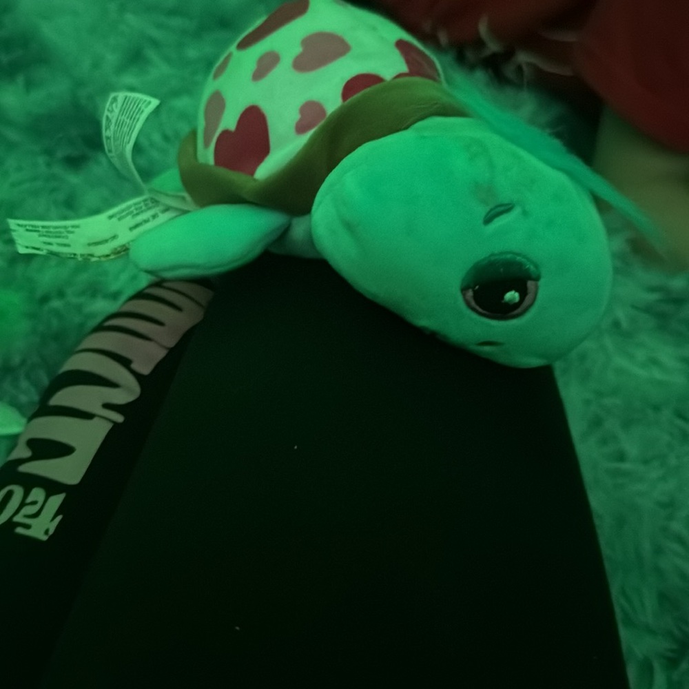 Turtle - Picture 5 of 8